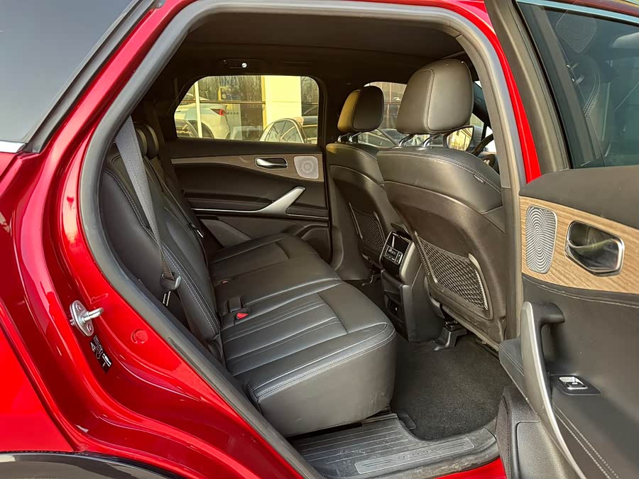 Denza X 2020 #18 Denza X 2020 car image #18