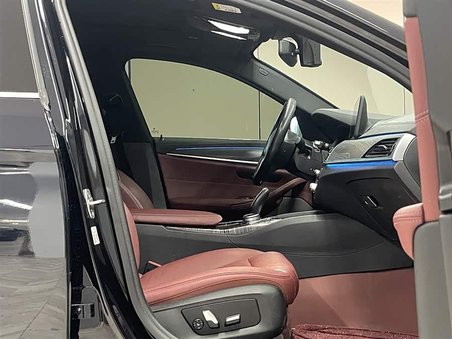 BMW 5 Series New Energy 2021 car image #18