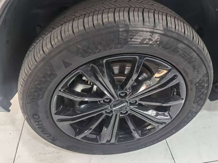 Haval Raptor New Energy 2023 car image #18