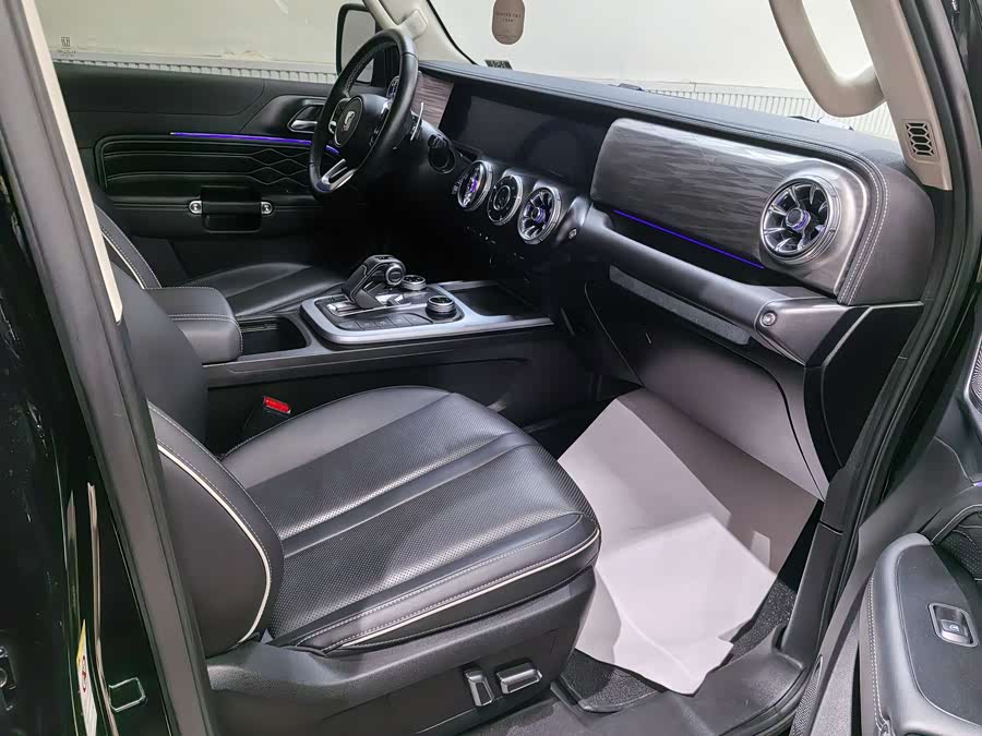 Tank 300 2022 car image #18