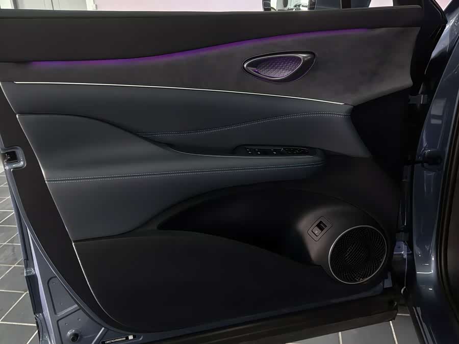 BYD Sea Lion 07 DM-i 2025 car image #18