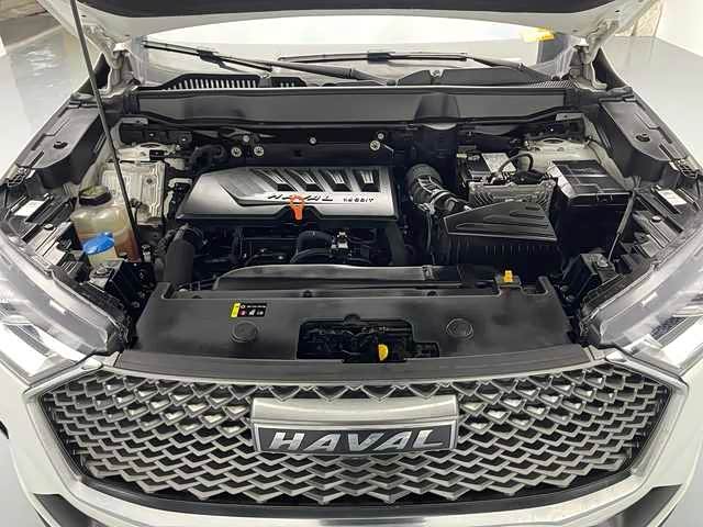 Haval H6 2021 car image #18