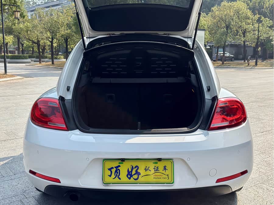 Volkswagen Beetle 2013 immagine di auto #18