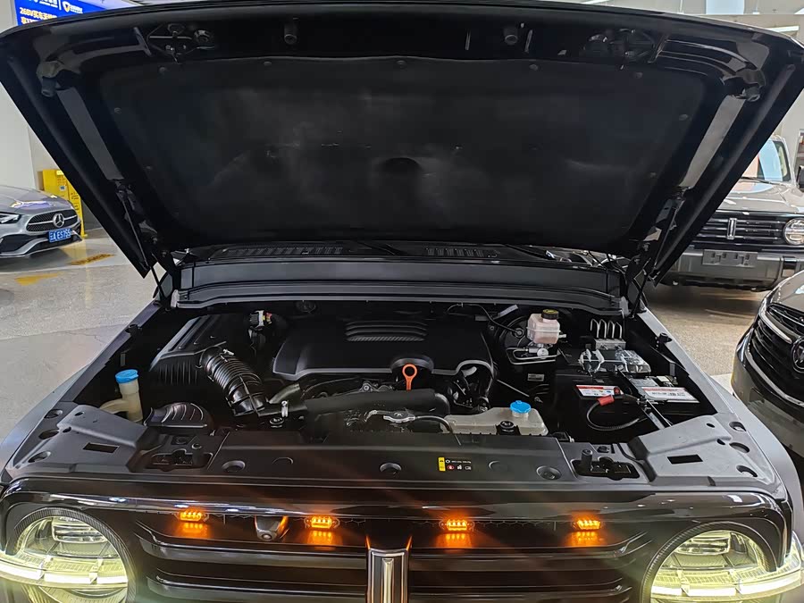 Tank 300 2021 car image #18