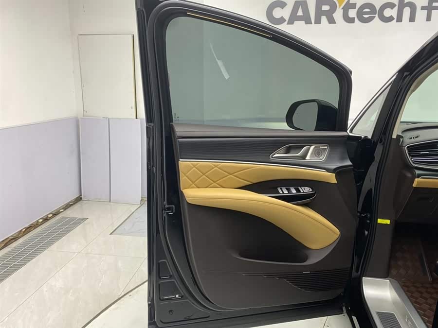 Denza D9 2024 car image #18