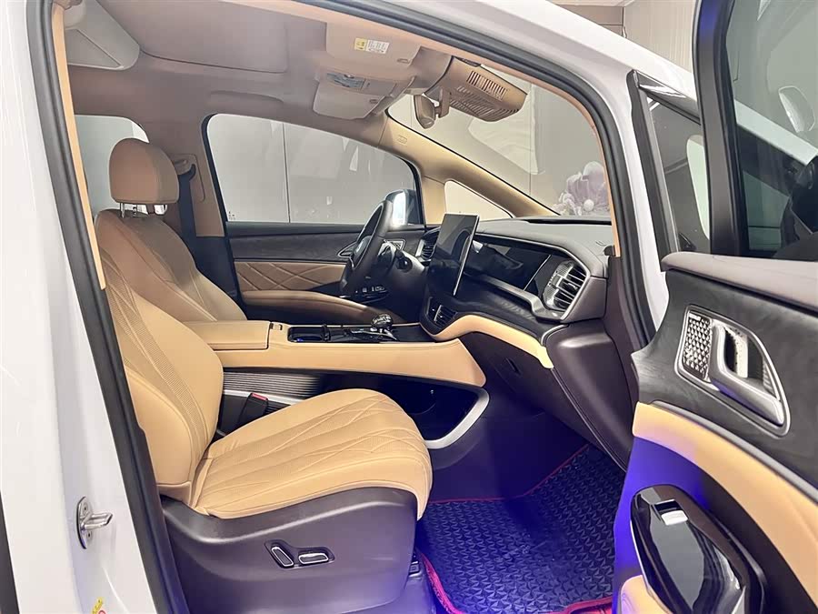 Denza D9 2025 car image #18