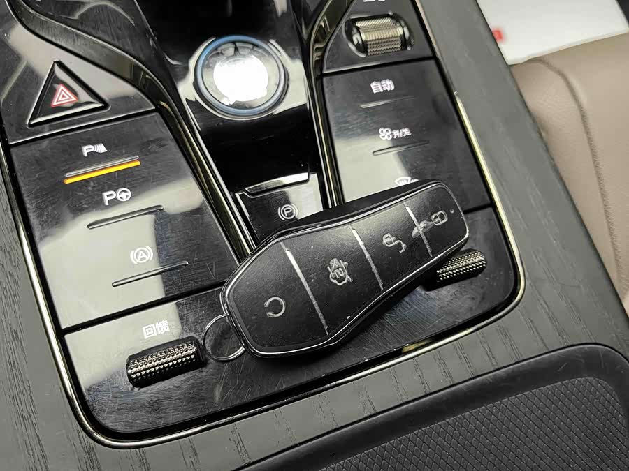 BYD Han 2022 #18 BYD Han 2022 immagine di auto #18