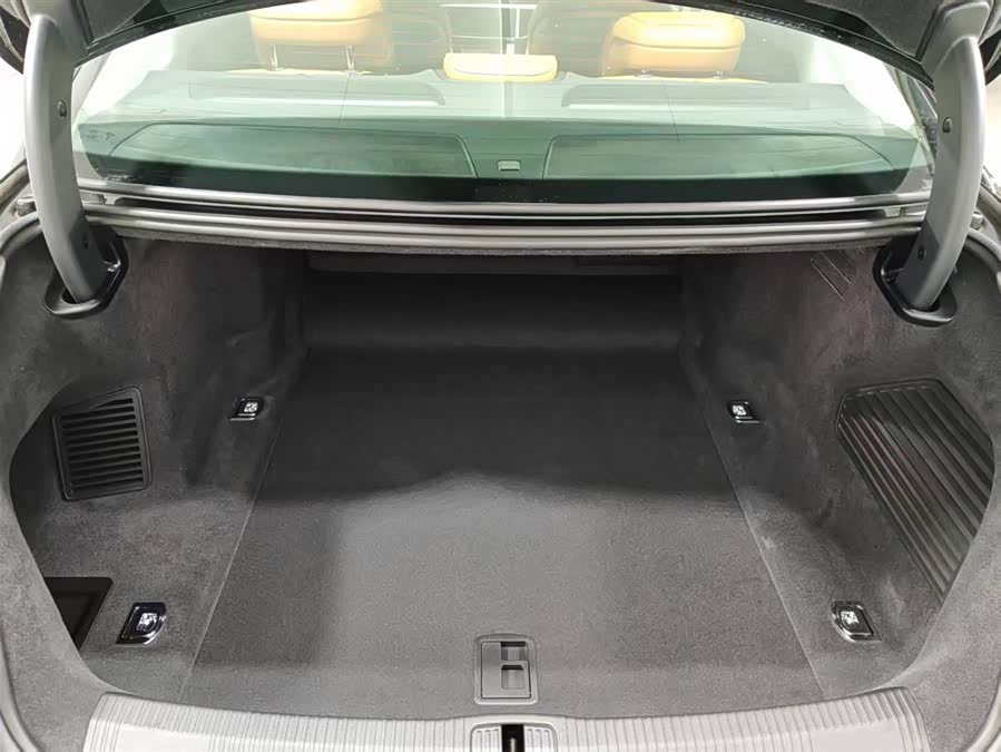 Audi A8 imagen de coche #18