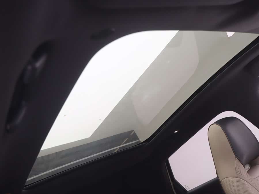 BYD Dolphin 2023 immagine di auto #18