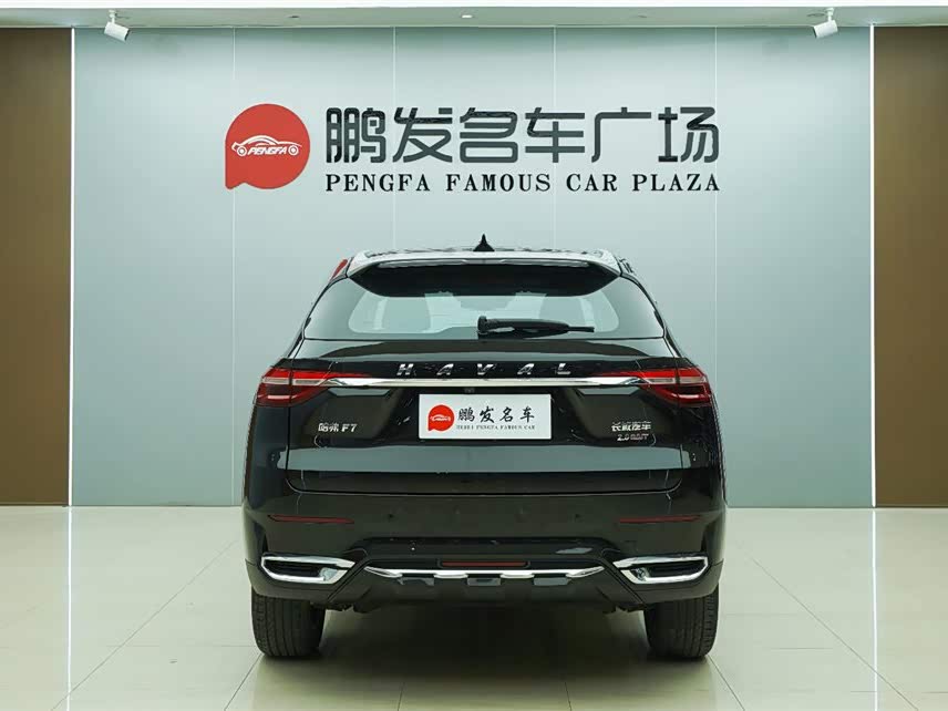 Haval F7 2021 car image #18