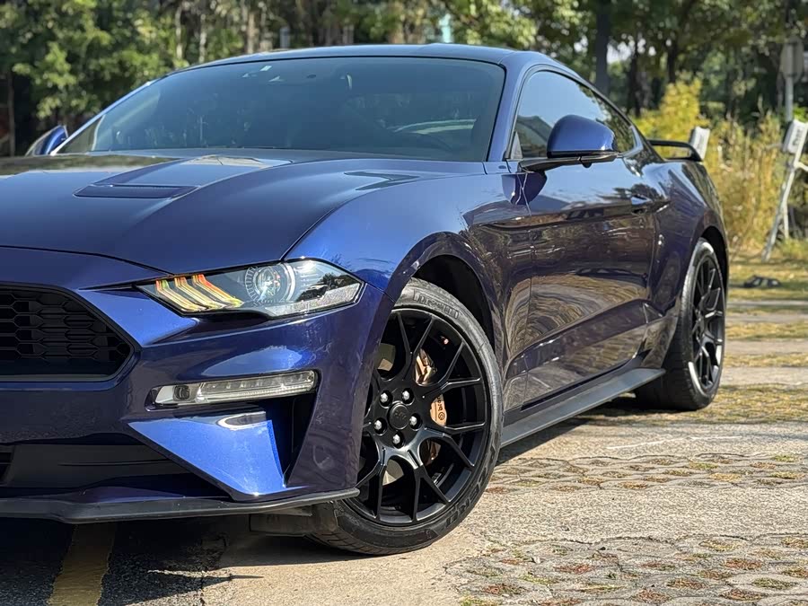 Ford Mustang 2020 immagine di auto #18