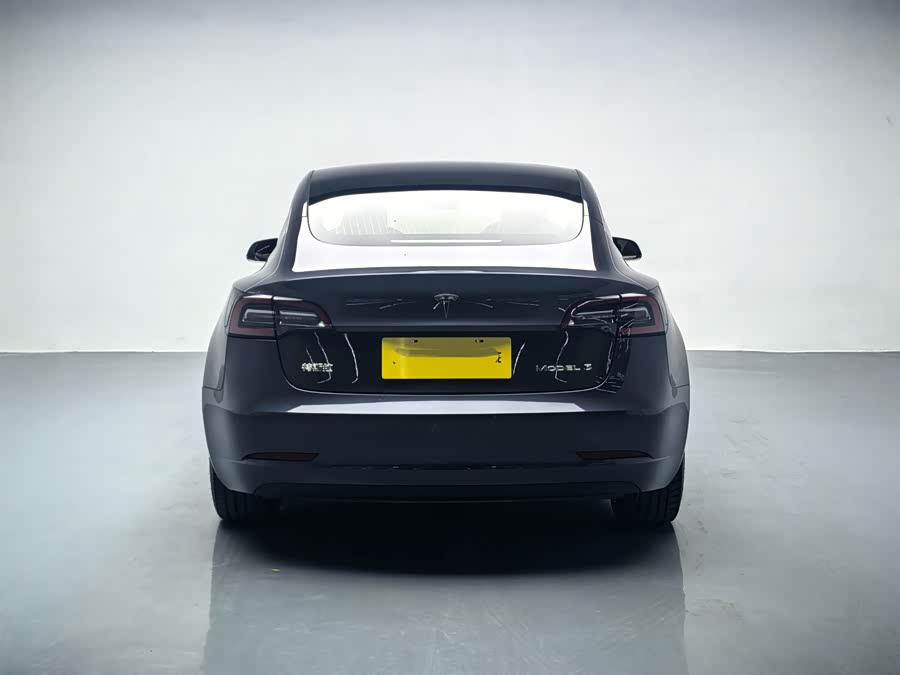 Tesla Model 3 2020 car image #18