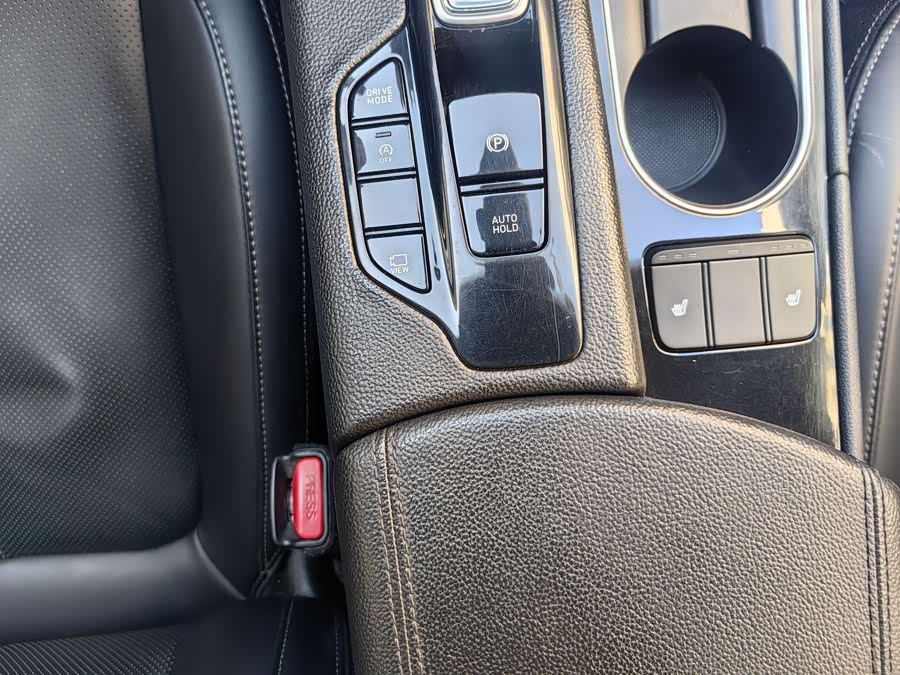 Hyundai Santa Fe 2019 #18 Hyundai Santa Fe 2019 car image #18