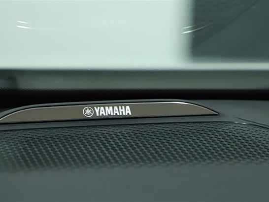 GAC Trumpchi M8 2023 immagine di auto #18