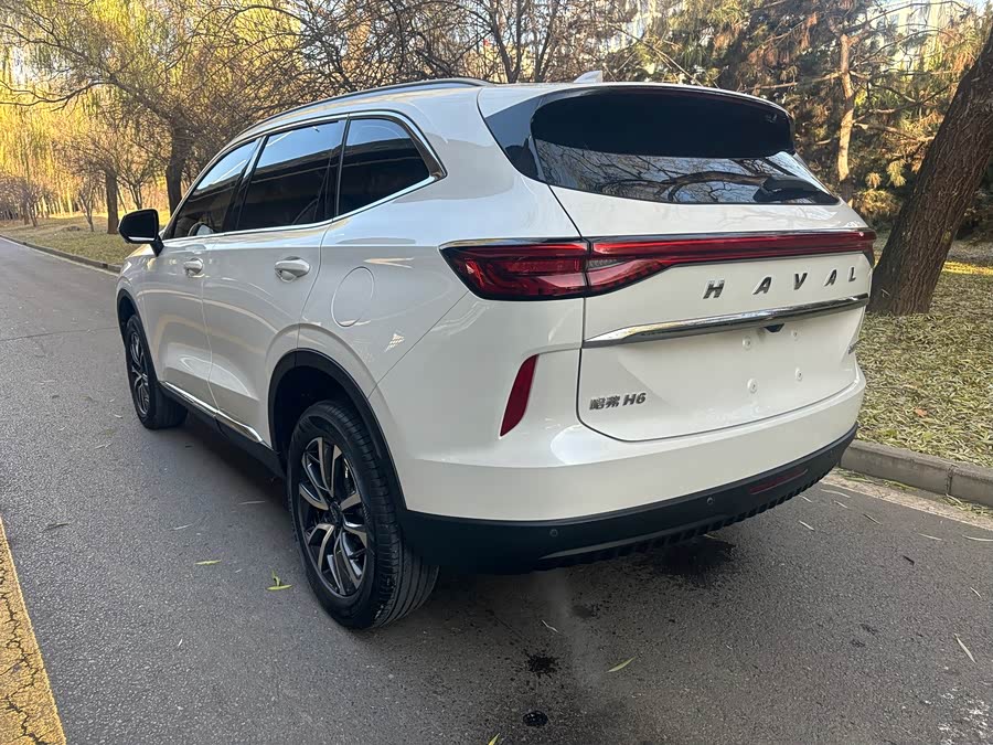 Haval 2022 car image #18