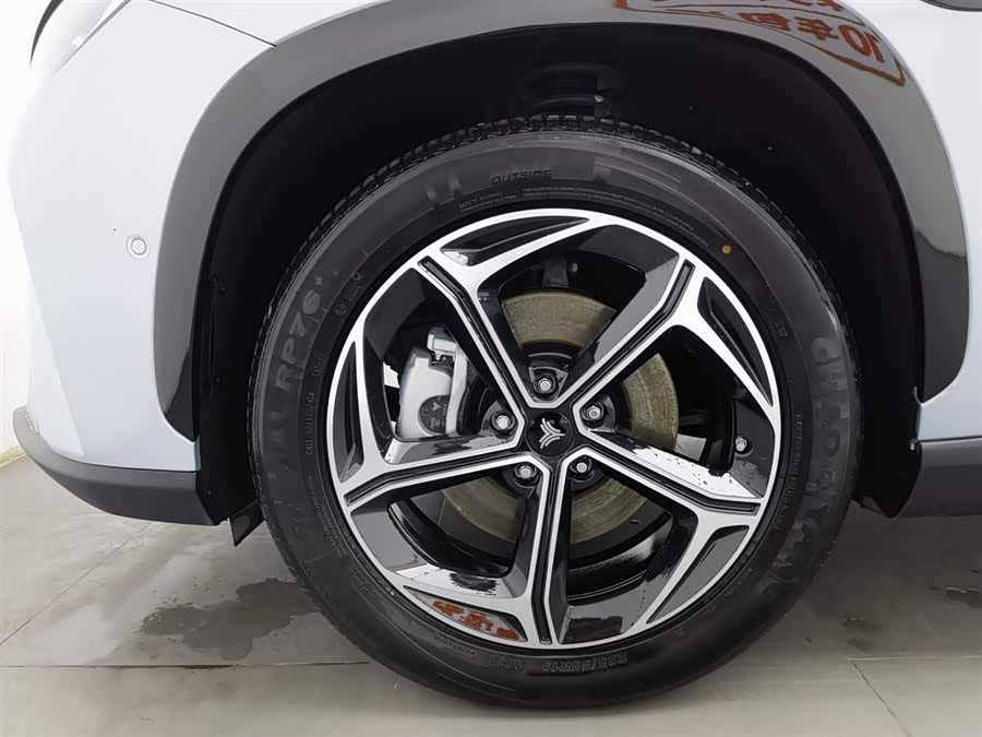 Neta L 2024 imagen de coche #18