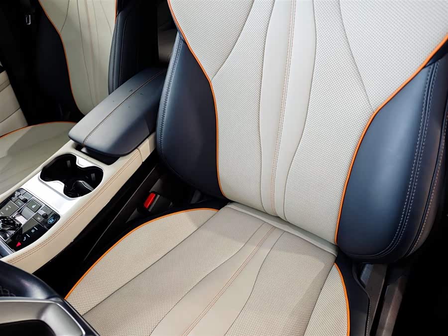 BYD Song Plus New Energy 2023 car image #18