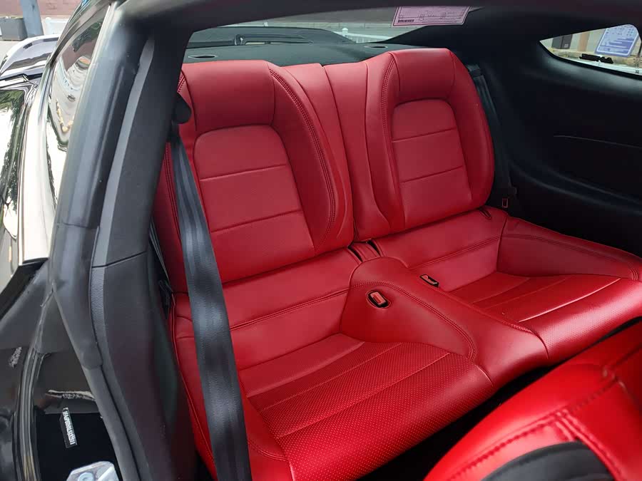 Ford Mustang 2022 car image #18