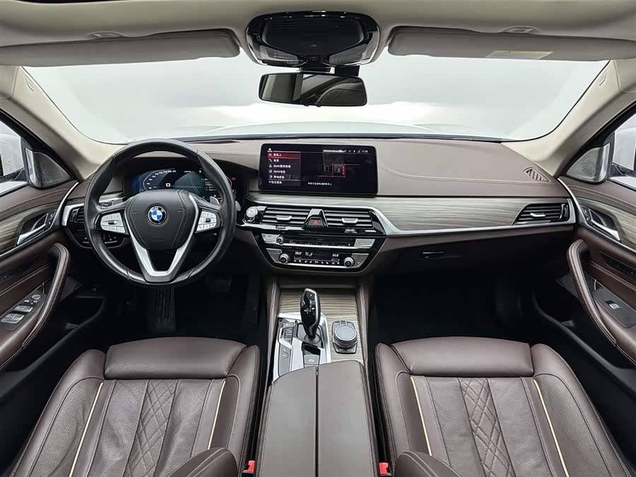 BMW 5 Series 2020 car image #18