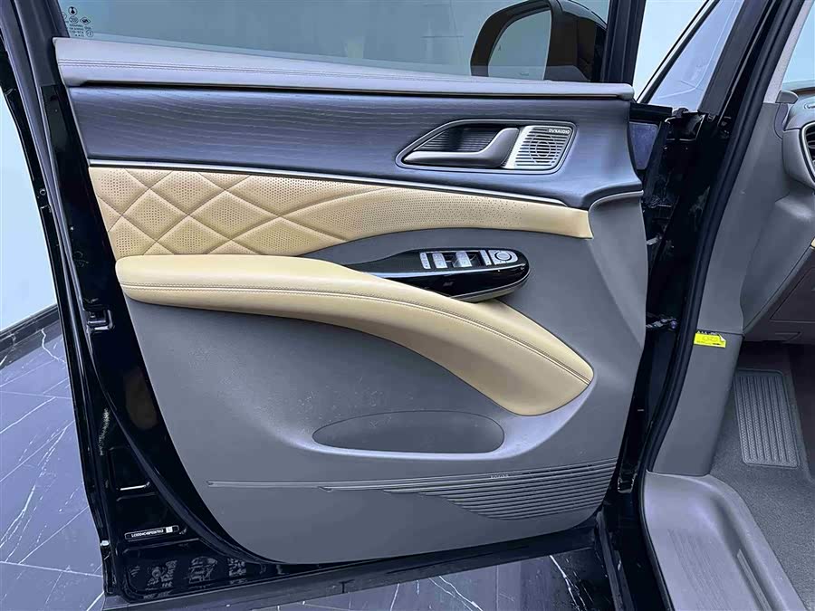 Denza D9 2023 immagine di auto #18
