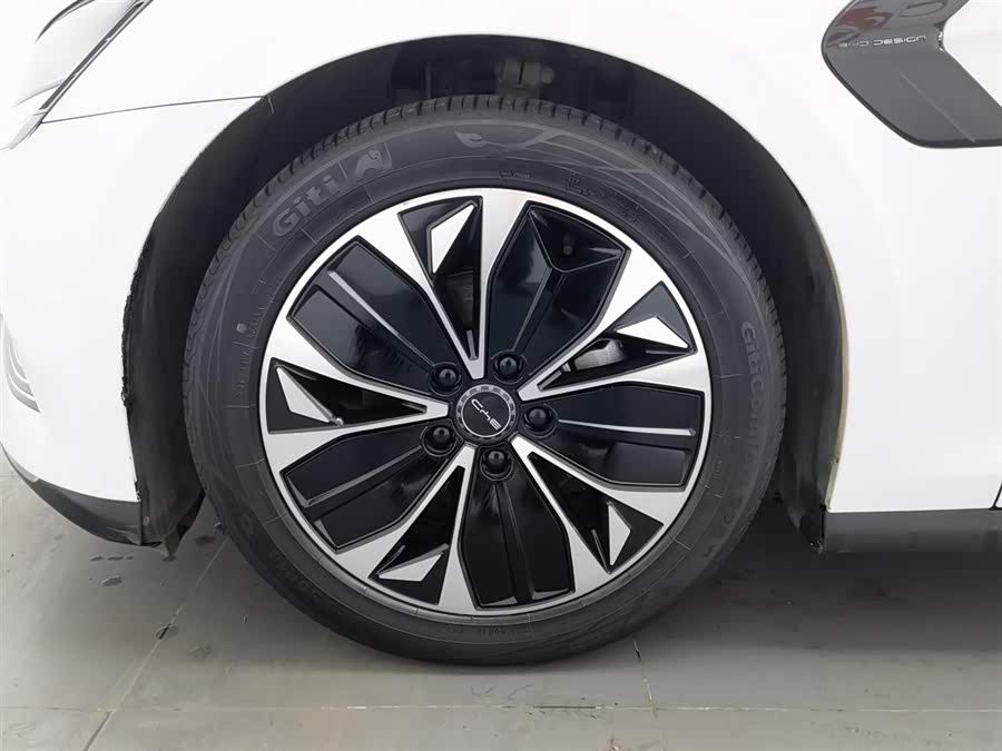 BYD Seal 2023 car image #18