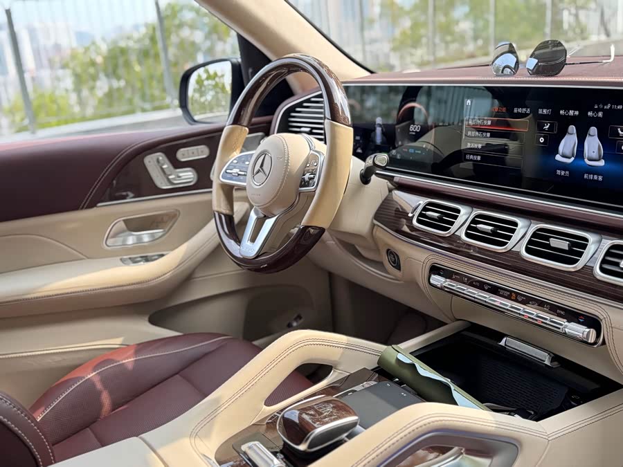 Mercedes-Benz Maybach GLS 2021 car image #18