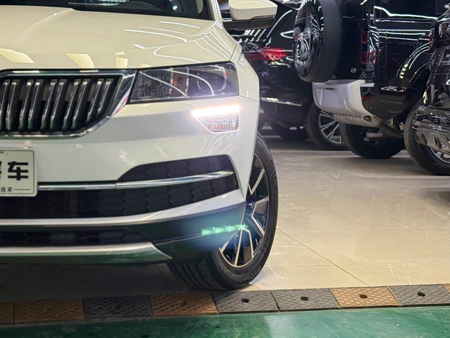 Skoda Karoq 2019 car image #18