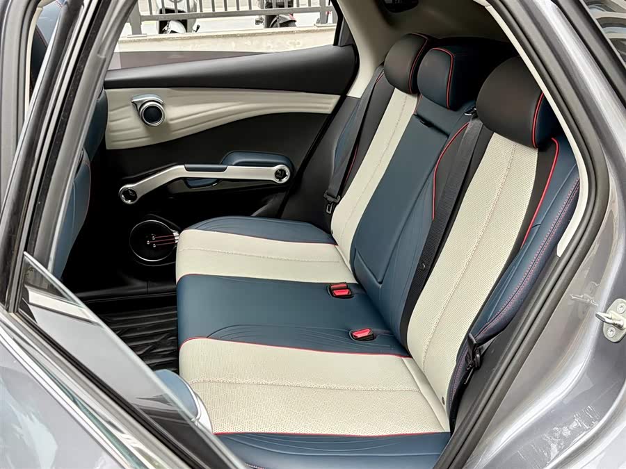 BYD Yuan Plus 2022 car image #18
