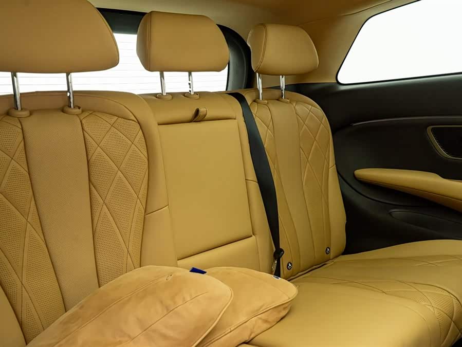 Denza D9 2025 car image #18