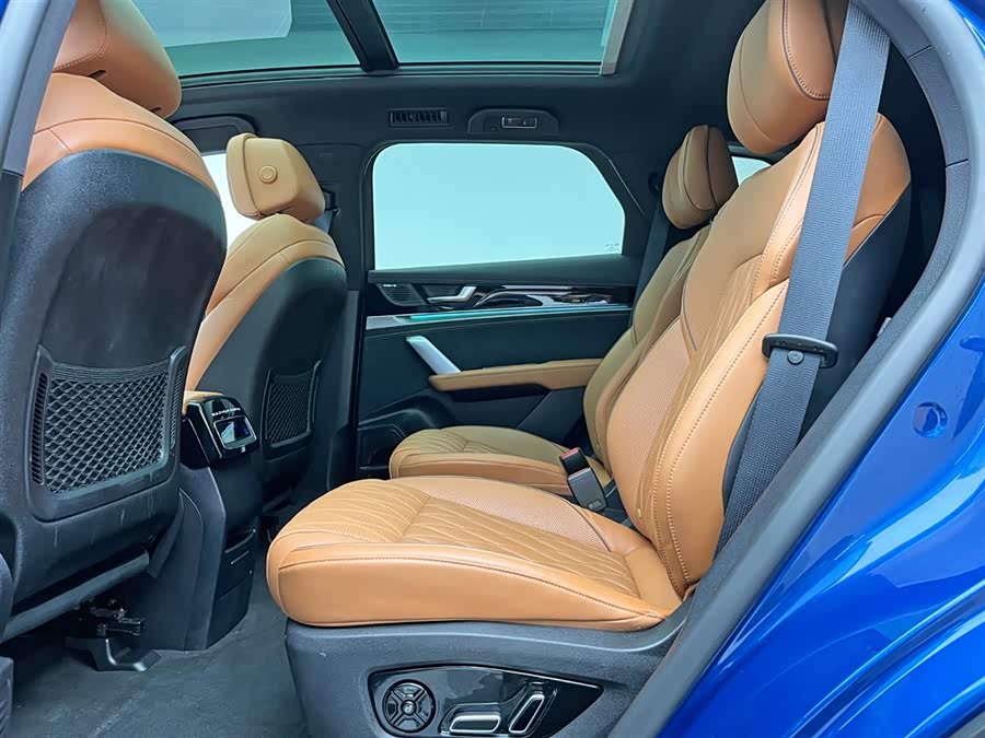 BYD Tang New Energy 2022 immagine di auto #18