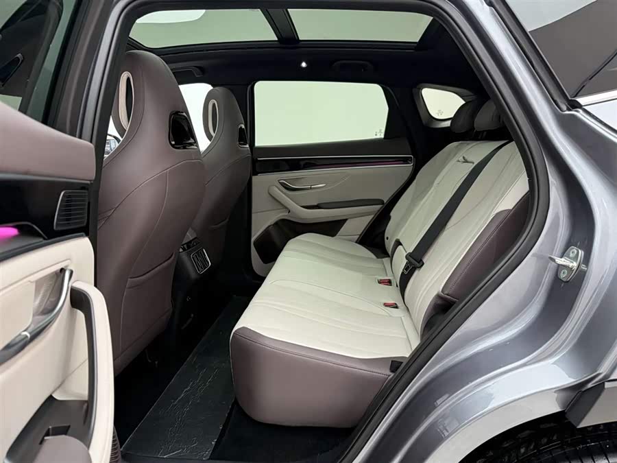 BYD Song Plus New Energy 2025 car image #18