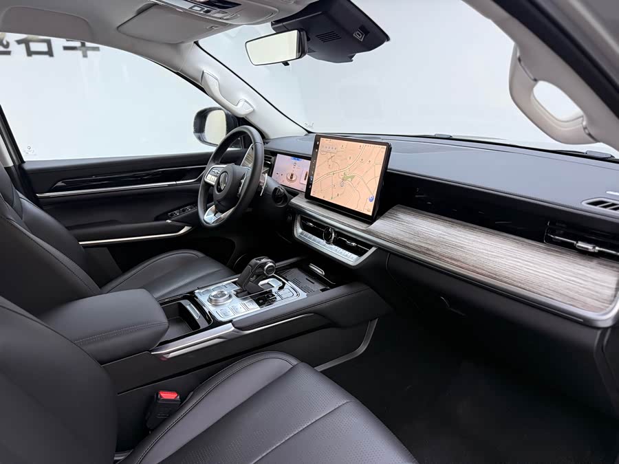 Great Wall Shanhai Pao Hi4-T car image #18