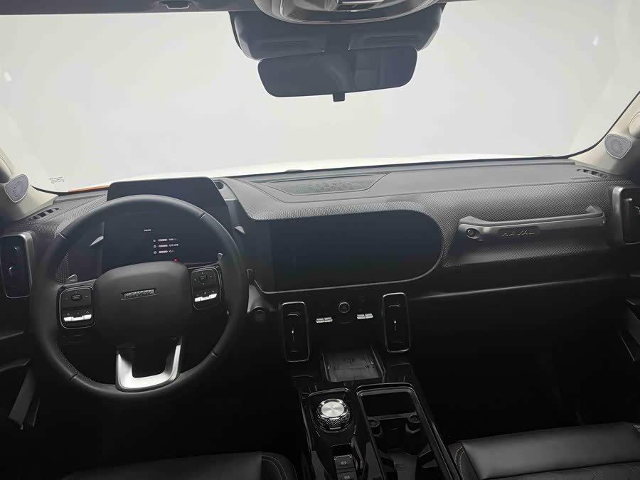 Haval X Dog / Dargo 2021 #18 Haval X Dog / Dargo 2021 car image #18