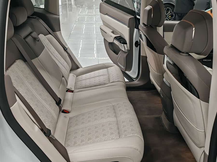 Zeekr 7X 2024 car image #18