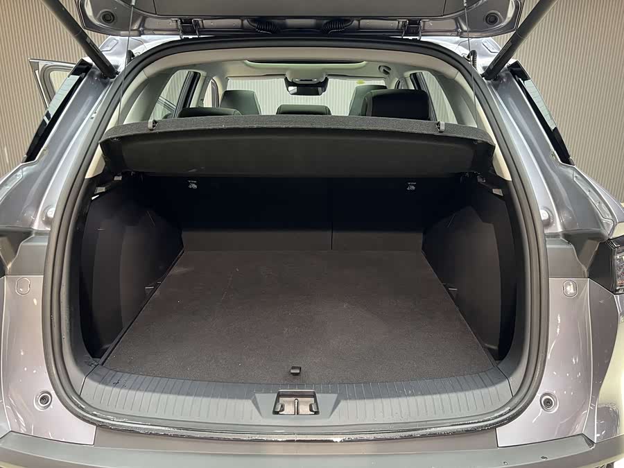 BYD Sea Lion 05 DM-i 2025 car image #18