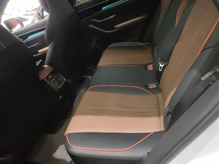 BYD Song Plus 2020 car image #18