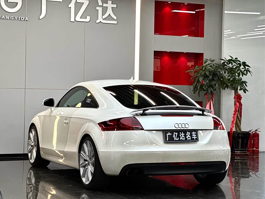 Audi TT 2009 car image #18