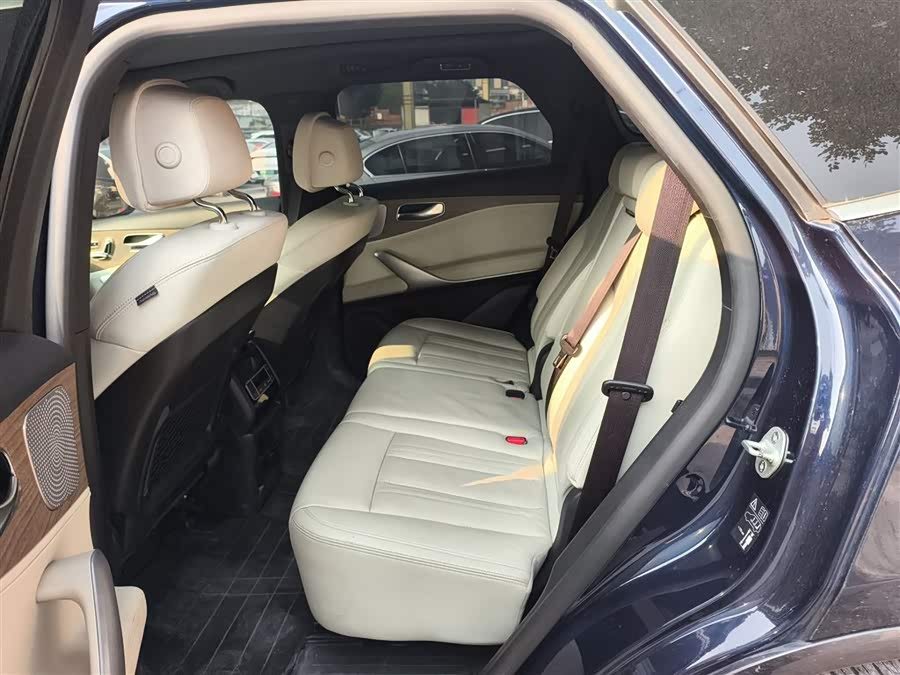 Denza X 2020 изображение автомобиля #18