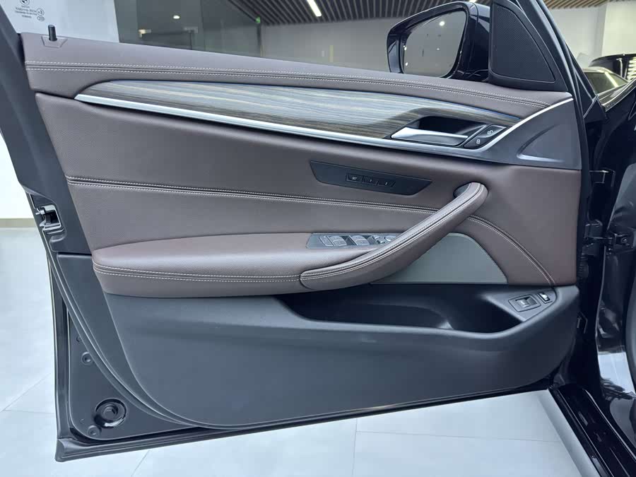 BMW 5 Series New Energy 2020 car image #18