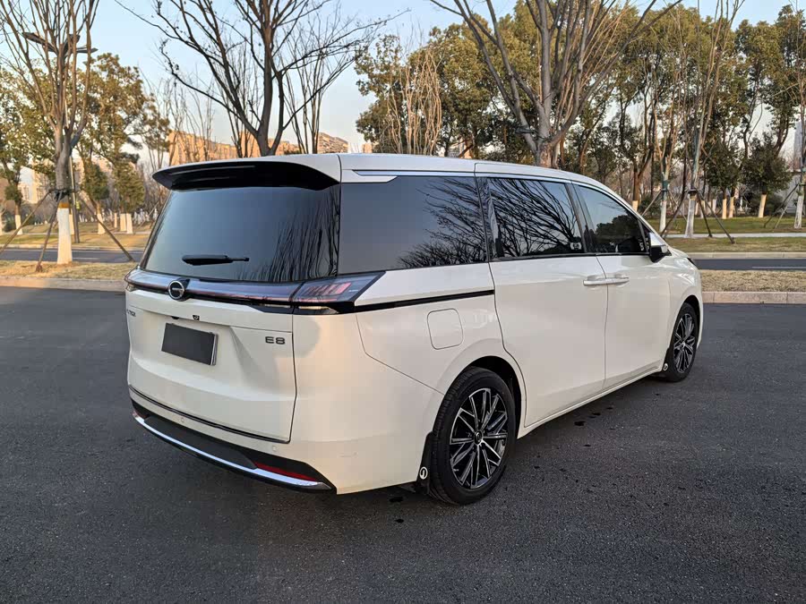 GAC Trumpchi E8 2024 car image #18