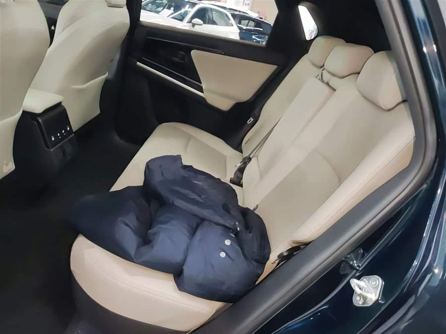 丰田 一汽丰田bZ4X 2022 #18 丰田 一汽丰田bZ4X 2022 汽车图片 #18