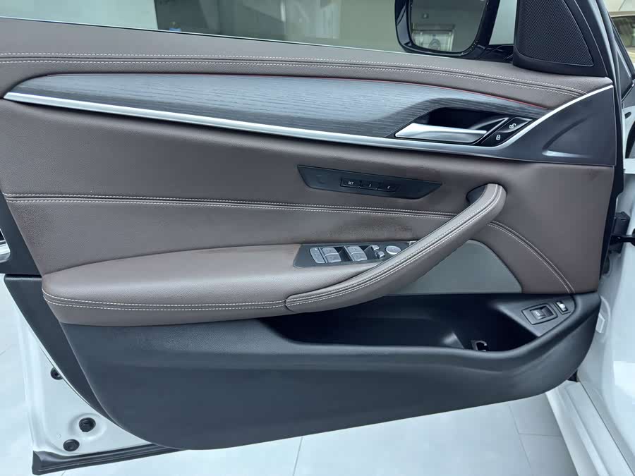 BMW 5 Series New Energy 2020 car image #18