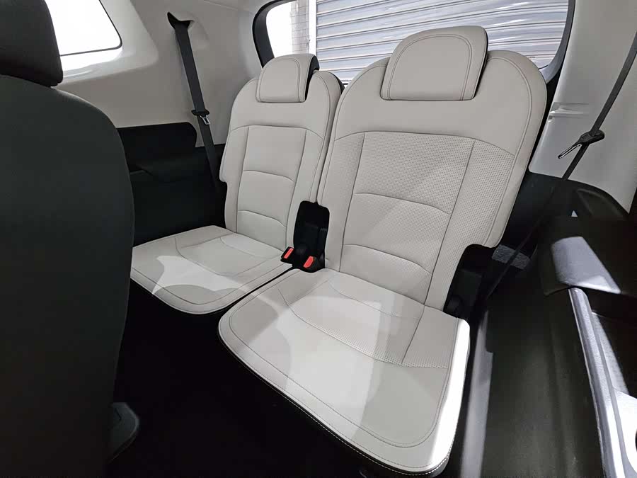 睿蓝汽车 睿蓝9 2024 汽车图片 #18