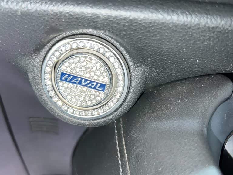 Haval F7 2019 car image #18