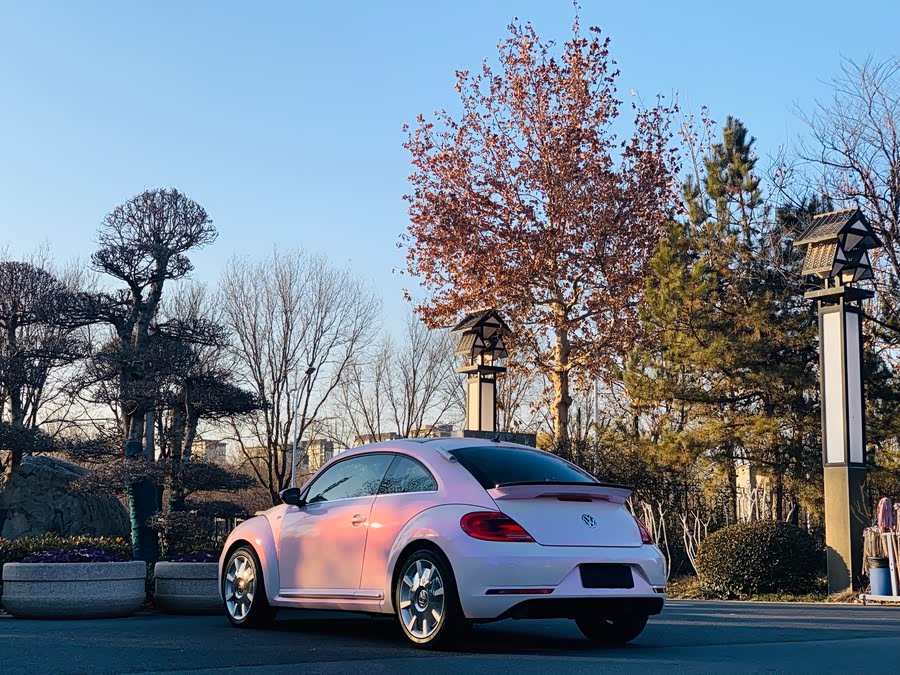 Volkswagen Beetle 2016 изображение автомобиля #18