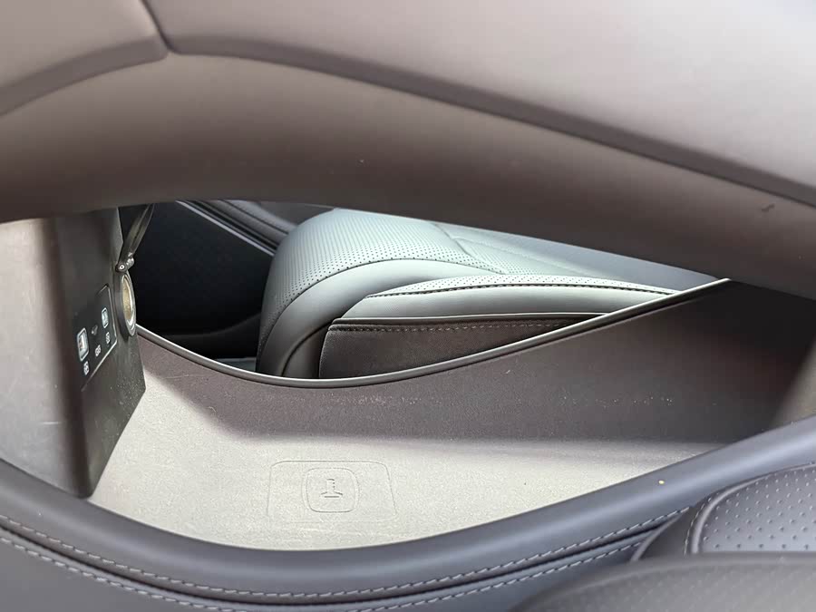 Denza Z9 2024 immagine di auto #18