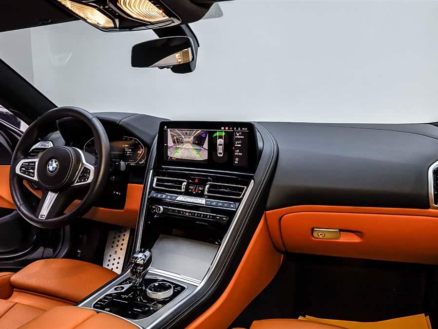 BMW 8 Series 2023 immagine di auto #18