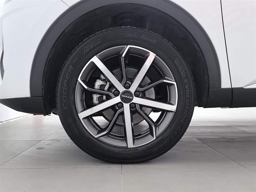 Haval F7 2020 car image #18