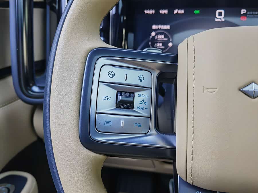 FangChengBao Leopard 5 2025 car image #18