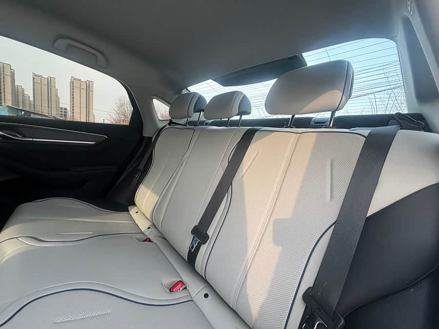 BYD Destroyer 05 2024 car image #18